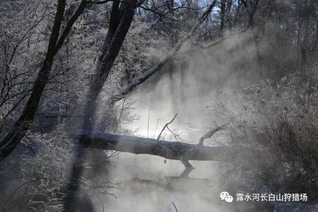 中国造动车在智利启运刷新南美速度