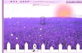 探探猫宝石岛
