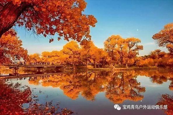 法拉第的缺陷