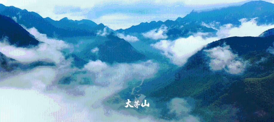 找工作没人要,找对象没人要。什么都没人要。是不是只能是自求多福了知识星球平台,深入解读找工作没人要,找对象没人要。什么都没人要。是不是只能是自求多福了领域,提供专业知识分享