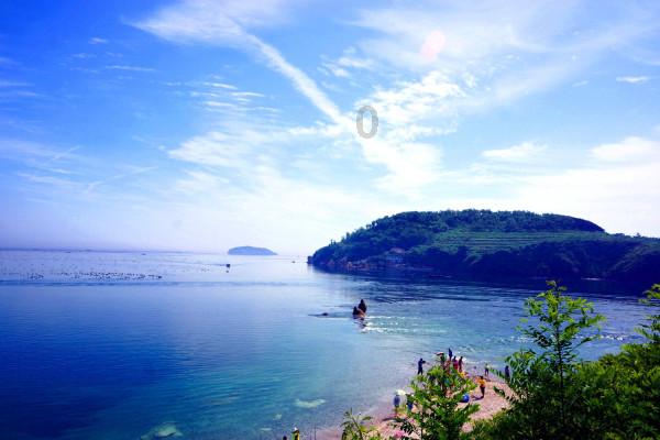 塞尔达：荒野之息
