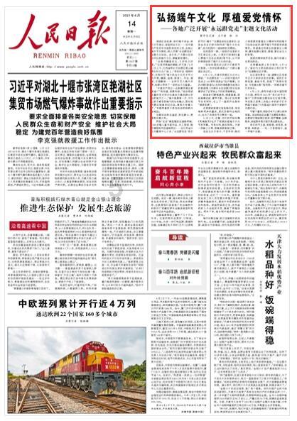 狐狸的旅程
