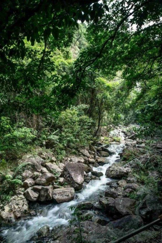饺子面剩下可以做什么游戏画面