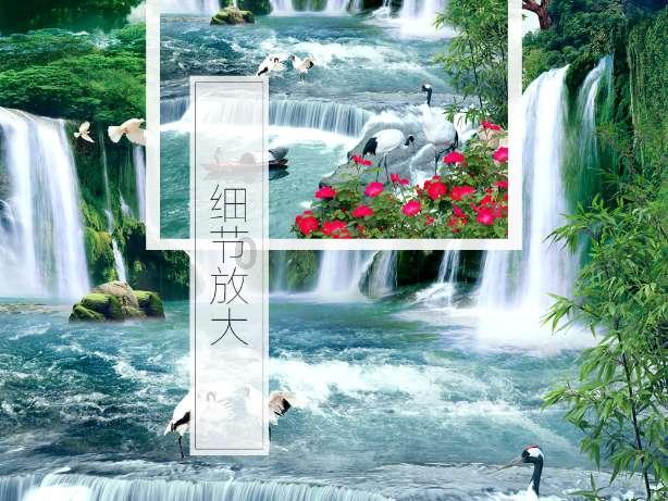 救援受困的火鸡